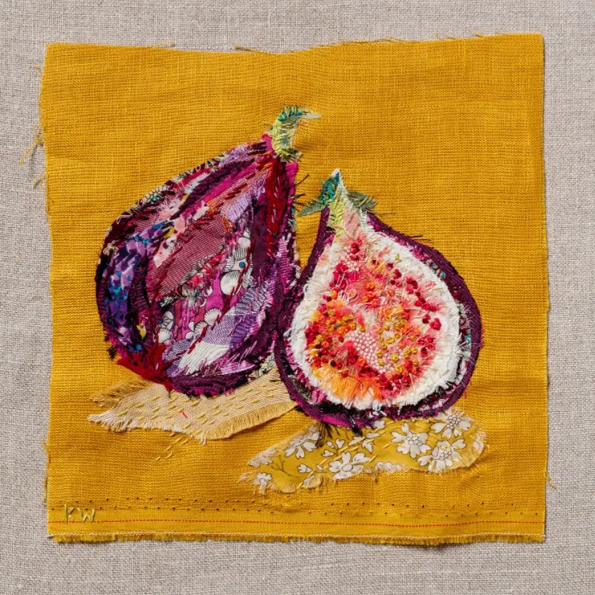 Fig Slow Stitching Kit