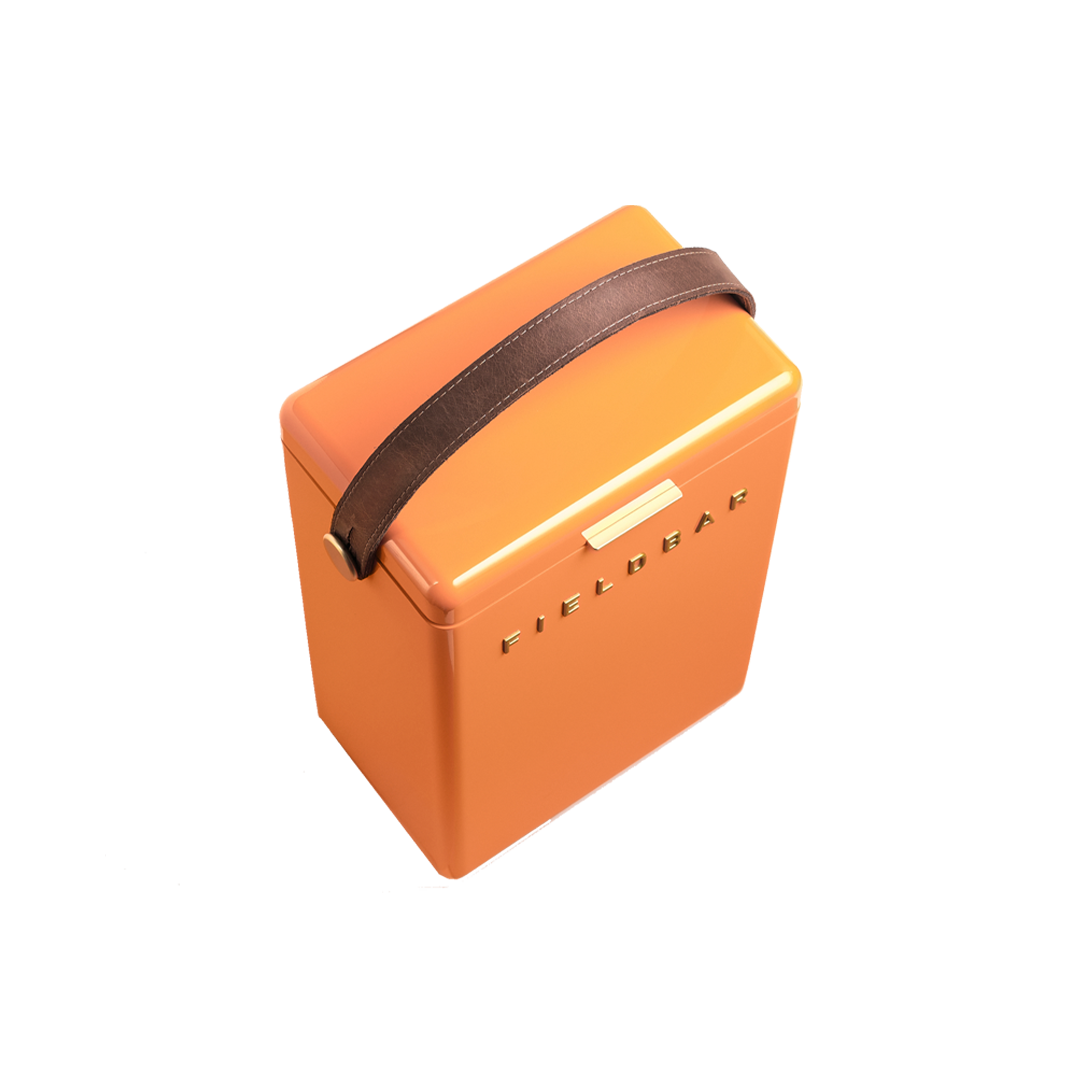 Fieldbar Drinks Box - Orchard Orange